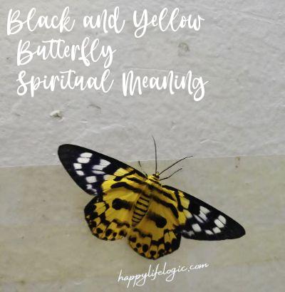 Black and Yellow Butterfly Meaning